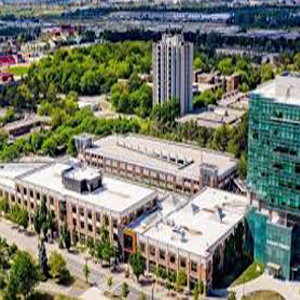 York University of Canada signs major collaborations with Indian institutes